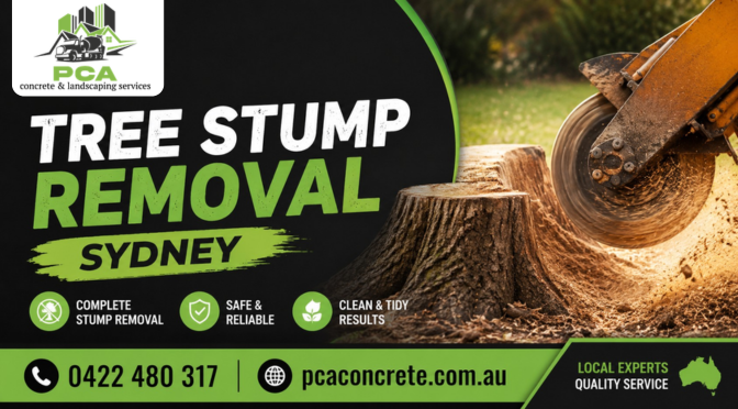 Is Professional Stump Removal The Fastest Way To Upgrade Your Outdoor Space?