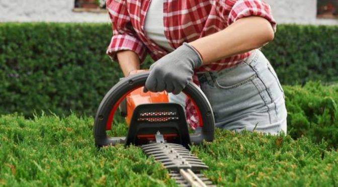 Seasonal Garden Maintenance Tips for Sydney’s Climate