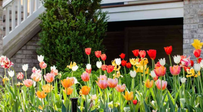 Why Simple Naturalistic Landscaping Layouts Are Ideal for Modern Homes?